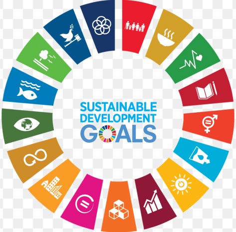 United Nations SDG 4 Award Logo